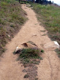 trail