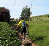 unicyclists