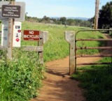 unicyclists