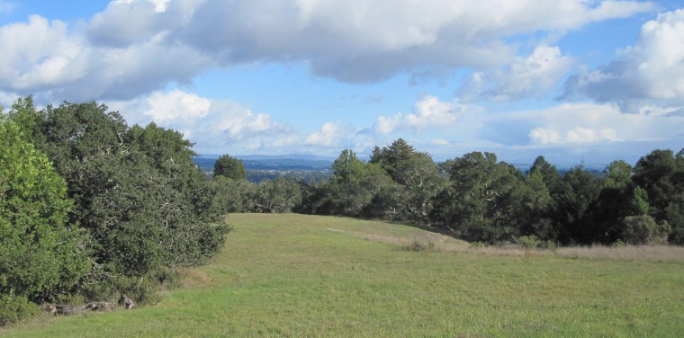 View of the Pogonip